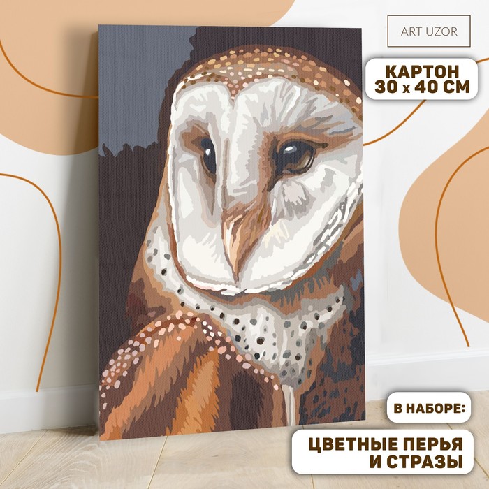 Картина по номерам с дополнительными элементами «Сова», 30х40 см
Картина по номерам с дополнительными элементами «Сова», 30х40 см