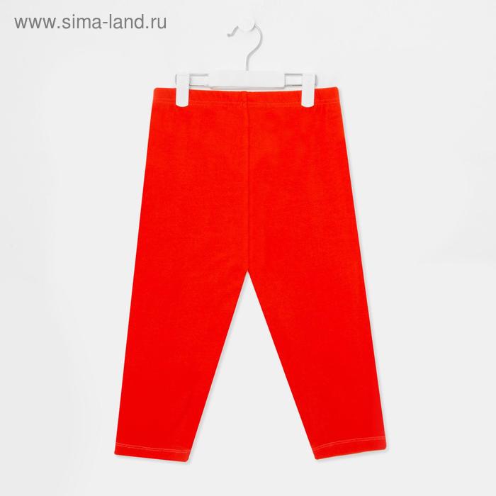 Бриджи для девочки, цвет оранжевый, рост 110 см
Бриджи для девочки, цвет оранжевый, рост 110 см