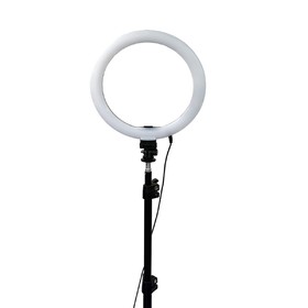 Кольцевая лампа OKIRA LED RING 416, 65 Вт, 416 светодиодов, d=44 см, + штатив, чёрная
Кольцевая лампа OKIRA LED RING 416, 65 Вт, 416 светодиодов, d=44 см, + штатив, чёрная