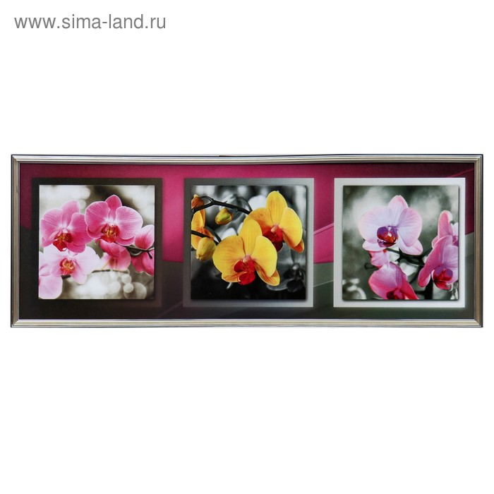 Картина "Орхидеи трио" 38х103 см
Картина "Орхидеи трио" 38х103 см