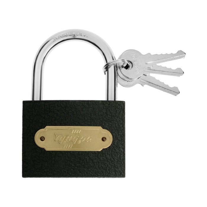 фото Замок навесной тундра zn1075, 75 мм