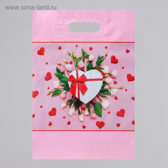 Пакет полиэтиленовый с вырубной, усиленной ручкой, 31 х 40 см, 60 мкм
Пакет полиэтиленовый с вырубной, усиленной ручкой, 31 х 40 см, 60 мкм