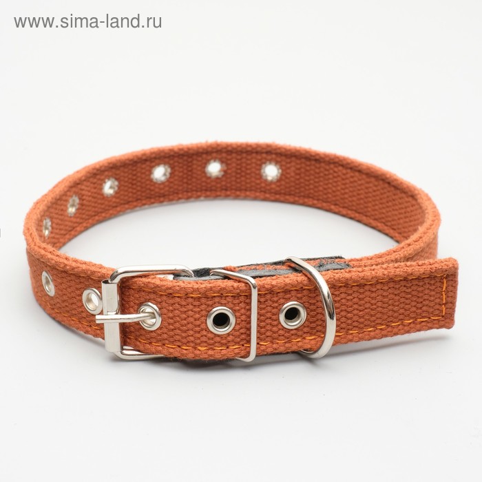 Ошейник брезентовый щенячий двухслойный, 54х2,5 см,светло-коричневый
Ошейник брезентовый щенячий двухслойный, 54х2,5 см,светло-коричневый