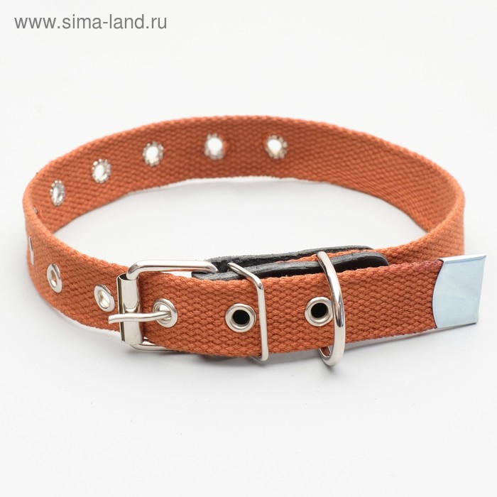 Ошейник брезентовый щенячий однослойный, 57 х 2,5 см, коричневый
Ошейник брезентовый щенячий однослойный, 57 х 2,5 см, коричневый