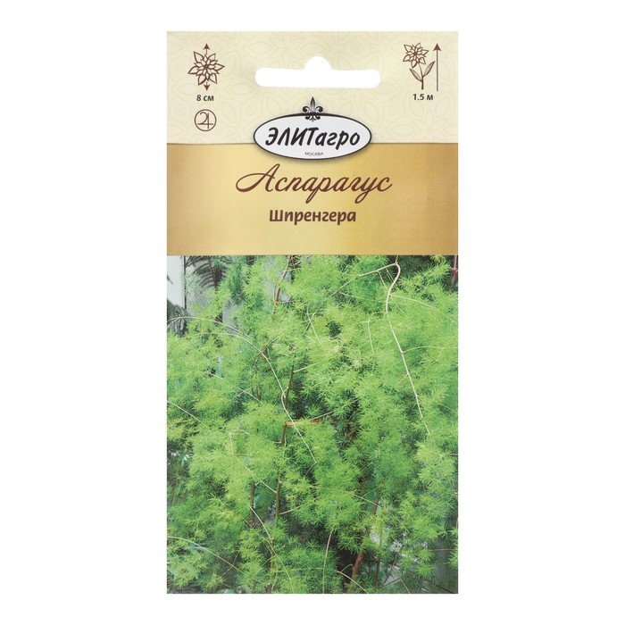 Семена цветов Аспарагус Шпренгера, 0,1 гр
Семена цветов Аспарагус Шпренгера, 0,1 гр