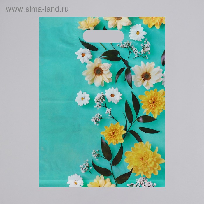 Пакет полиэтиленовый с вырубной, усиленной ручкой, 31 х 40 см, 60 мкм
Пакет полиэтиленовый с вырубной, усиленной ручкой, 31 х 40 см, 60 мкм