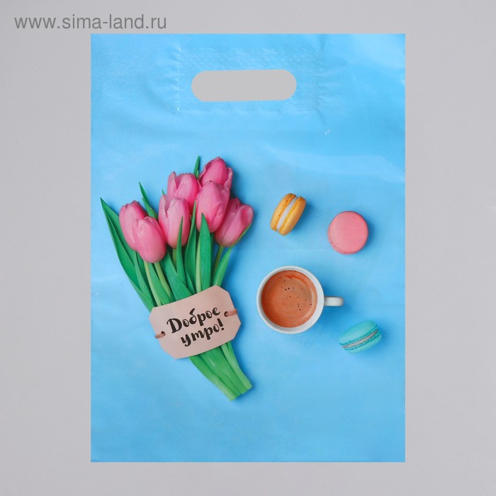 Пакет полиэтиленовый с вырубной, усиленной ручкой, 31 х 40 см, 60 мкм
Пакет полиэтиленовый с вырубной, усиленной ручкой, 31 х 40 см, 60 мкм