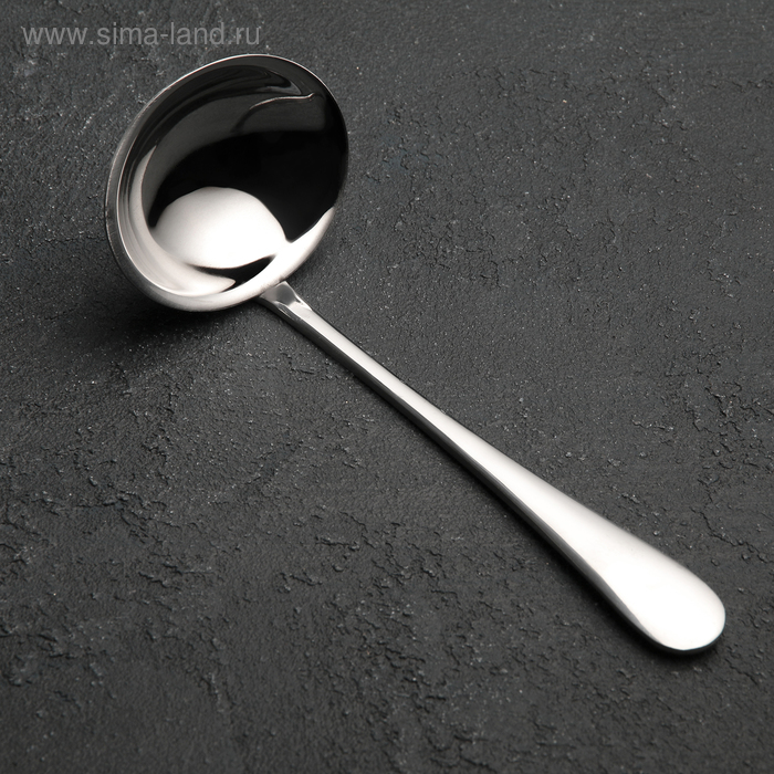 Ложка для соуса «Моника», h=17 см
Ложка для соуса «Моника», h=17 см
