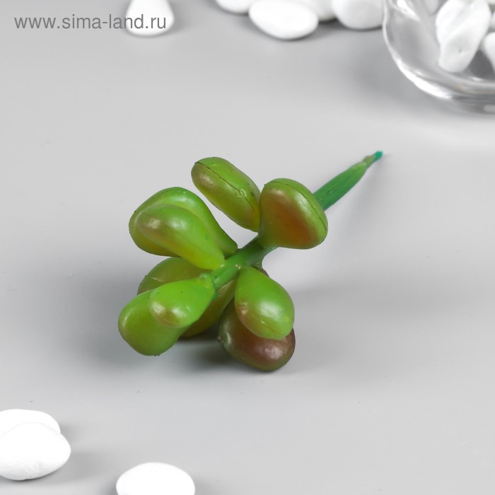 Искусственный суккулент для создания флорариума "Пахифитум аметистовый" 12х5,5х5 см
Искусственный суккулент для создания флорариума "Пахифитум аметистовый" 12х5,5х5 см