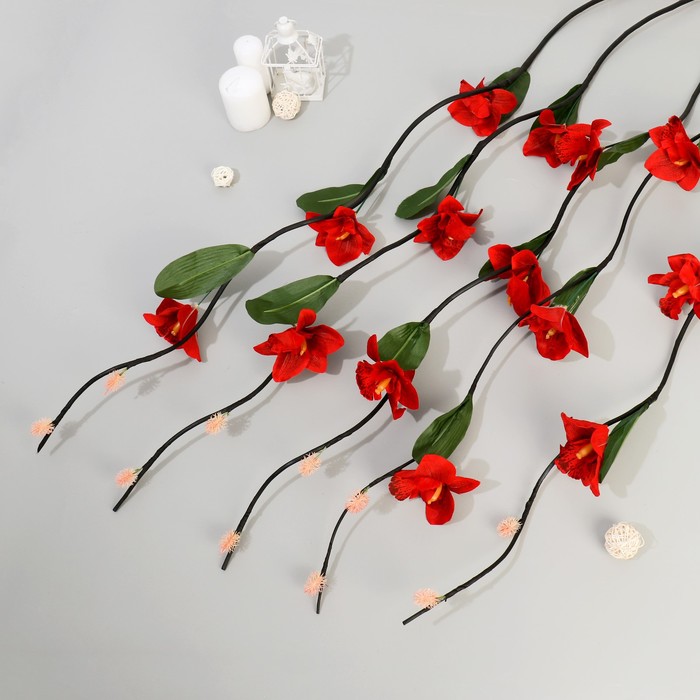 Декор тинги "Орхидея" 150 см (фасовка 5 шт, цена за 1шт) микс
Декор тинги "Орхидея" 150 см (фасовка 5 шт, цена за 1шт) микс