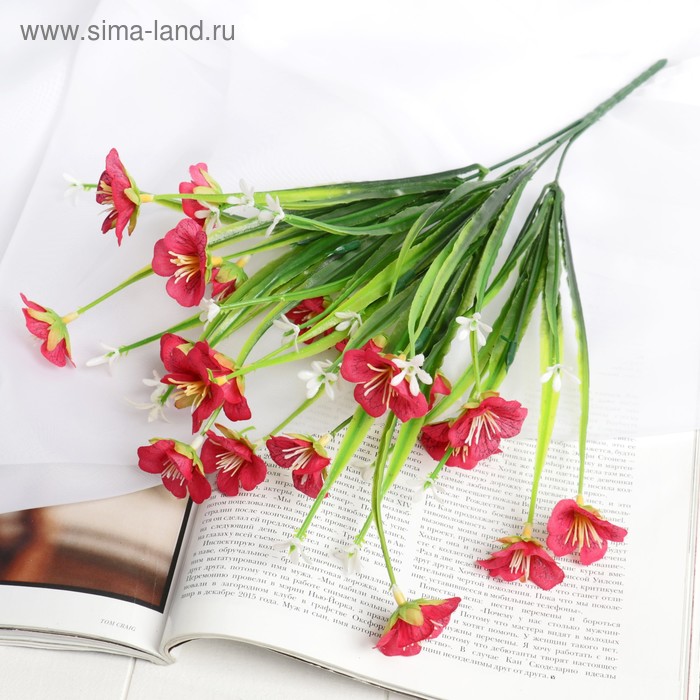 Букет "Сетчатник" 3,5*37 см, микс
Букет "Сетчатник" 3,5*37 см, микс