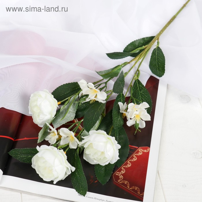 Цветы искусственные "Пионы Нежное признание" 5*69 см, белый
Цветы искусственные "Пионы Нежное признание" 5*69 см, белый