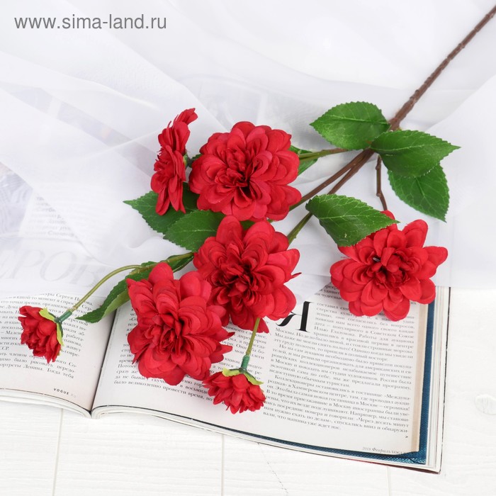 Цветы искусственные "Георгин махровый" 8*66 см, красный
Цветы искусственные "Георгин махровый" 8*66 см, красный