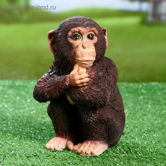 Садовая фигура "Горилла малая" 14х14х18см
Садовая фигура "Горилла малая" 14х14х18см