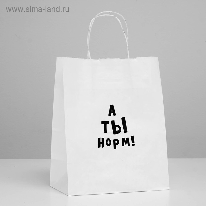 Пакет подарочный с приколами «А ты норм!», 24 х 14 х 30 см
Пакет подарочный с приколами «А ты норм!», 24 х 14 х 30 см