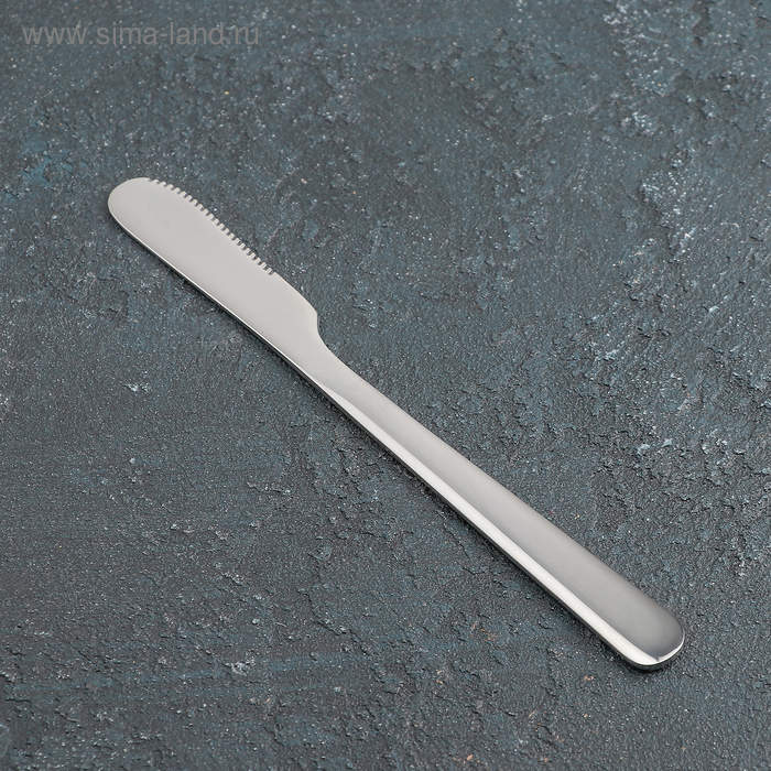 Нож для масла, 16,5 см 
Нож для масла, 16,5 см