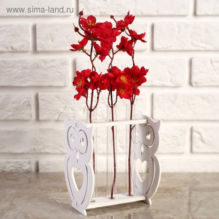 Кашпо деревянное 11.7×10.5×14.1 см с 3 колбами "Сова", белый Дарим Красиво
Кашпо деревянное 11.7×10.5×14.1 см с 3 колбами "Сова", белый Дарим Красиво