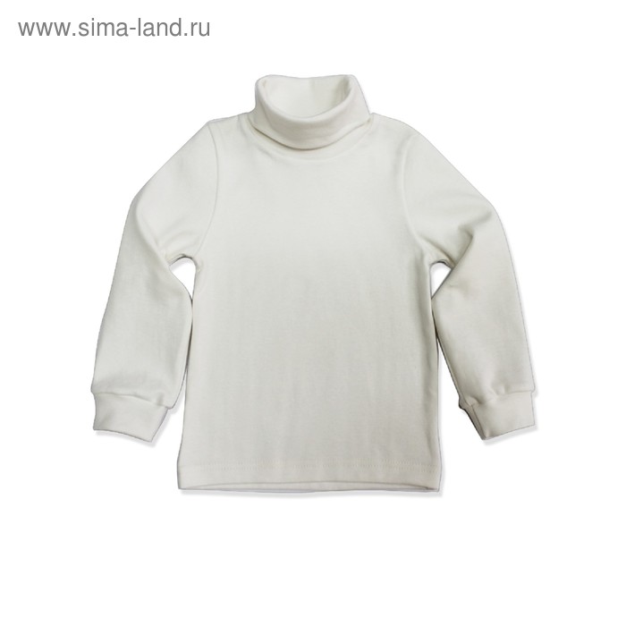 Водолазка для мальчика, рост 116 см
Водолазка для мальчика, рост 116 см