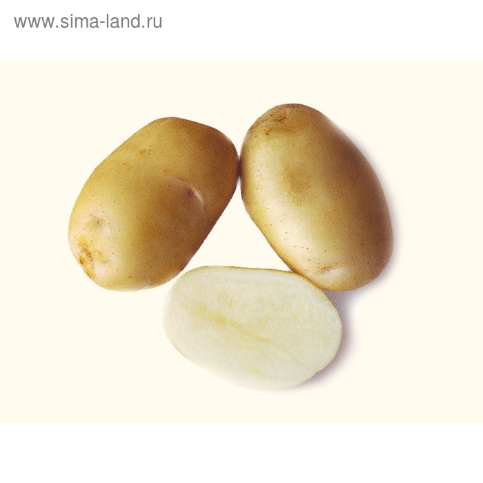 Семенной картофель "Удача", 1 кг +/- 10%, Элита
Семенной картофель "Удача", 1 кг +/- 10%, Элита