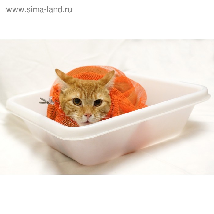 фото Сумка для купания и груминга кошек, размер s (для маленьких кошек и котят), микс цветов osso fashion