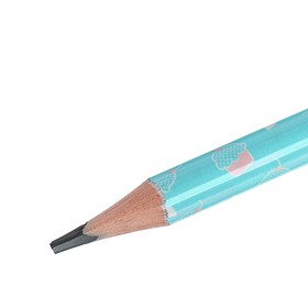 Карандаш чернографитный 3 мм ArtGraphix. Zefir «Кексики», НВ, трёхгранный, пластиковый корпус
Карандаш чернографитный 3 мм ArtGraphix. Zefir «Кексики», НВ, трёхгранный, пластиковый корпус