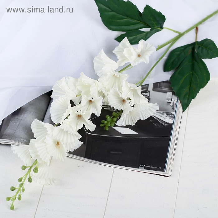 Цветы искусственные "Колокольчик волнистый" 4*70 см, белый
Цветы искусственные "Колокольчик волнистый" 4*70 см, белый