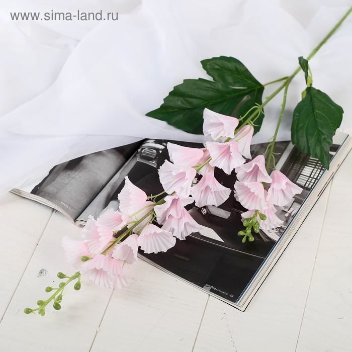 Цветы искусственные "Колокольчик волнистый" 4*70 см, розовый
Цветы искусственные "Колокольчик волнистый" 4*70 см, розовый