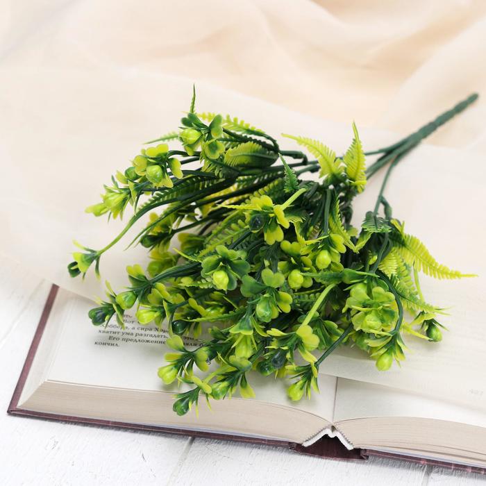 Букет "Папоротник цветущий" 2*24 см, микс
Букет "Папоротник цветущий" 2*24 см, микс