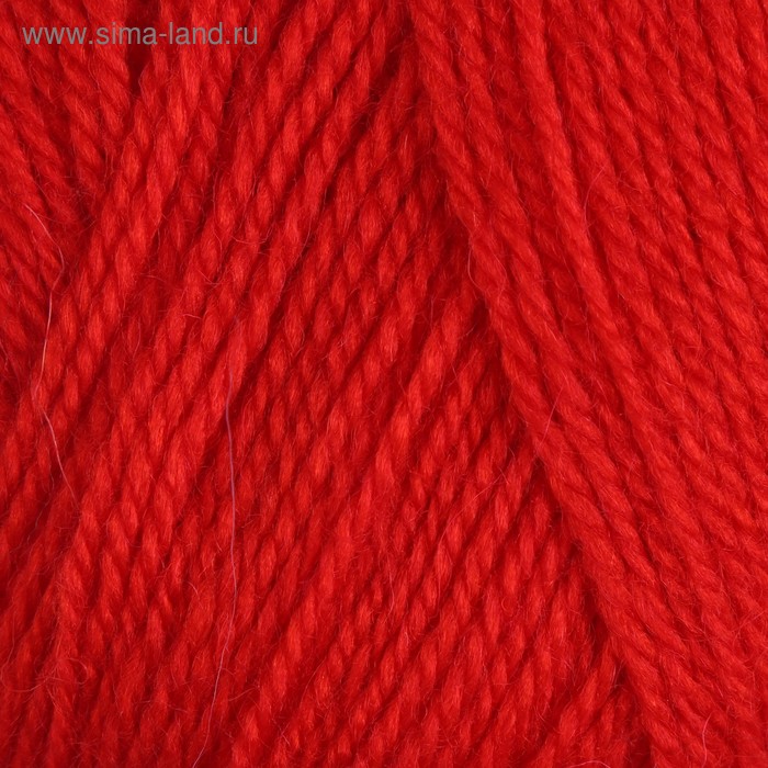 Пряжа "Белорусская" 50% шерсть, 50% акрил 300м/100гр (046 красный)
Пряжа "Белорусская" 50% шерсть, 50% акрил 300м/100гр (046 красный)