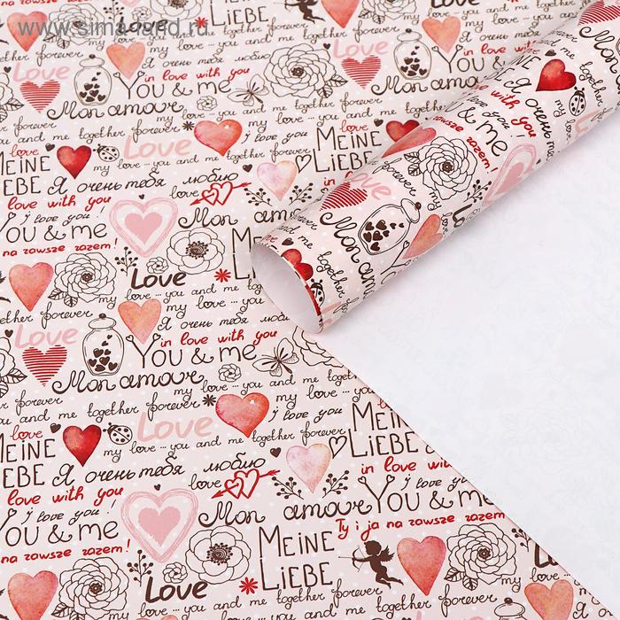 Бумага упаковочная "Любовные послания", 50 х 70 см
Бумага упаковочная "Любовные послания", 50 х 70 см