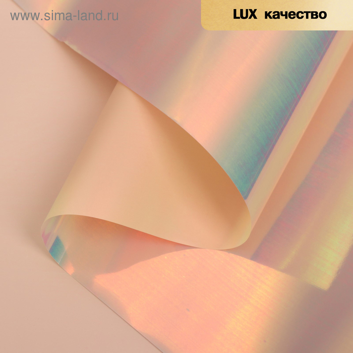 Пленка для цветов "Акварель", шампань, 58 см х 5 м
Пленка для цветов "Акварель", шампань, 58 см х 5 м