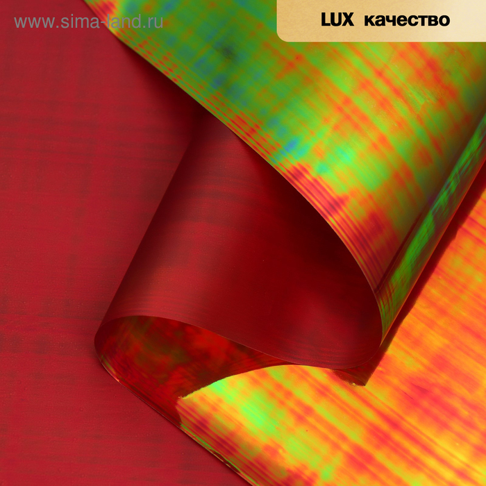 Пленка для цветов "Акварель", винный, 58 см х 5 м
Пленка для цветов "Акварель", винный, 58 см х 5 м