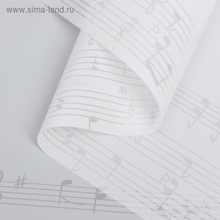 Пленка для цветов "Ноты", цвет белый, 58 см х 5 м
Пленка для цветов "Ноты", цвет белый, 58 см х 5 м