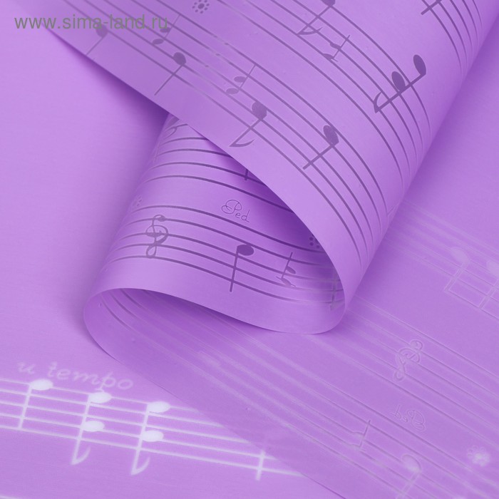 Пленка для цветов "Ноты", цвет пурпурный, 58 см х 5 м
Пленка для цветов "Ноты", цвет пурпурный, 58 см х 5 м
