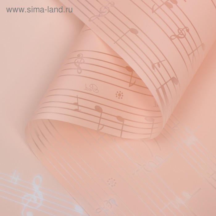 Пленка для цветов "Ноты", цвет персиковый, 58 см х 5 м 
Пленка для цветов "Ноты", цвет персиковый, 58 см х 5 м