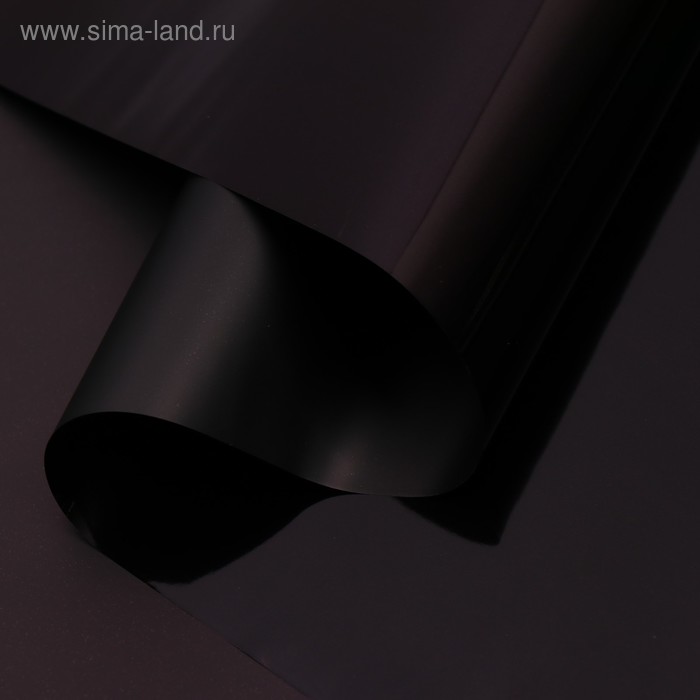 Пленка для цветов "Глянец", черный, 58 см х 5 м
Пленка для цветов "Глянец", черный, 58 см х 5 м