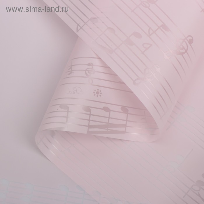 Пленка для цветов "Ноты", розовый, 58 см х 5 м
Пленка для цветов "Ноты", розовый, 58 см х 5 м