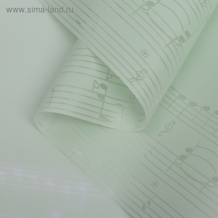 Пленка для цветов "Ноты", светло-зеленый, 58 см х 5 м
Пленка для цветов "Ноты", светло-зеленый, 58 см х 5 м