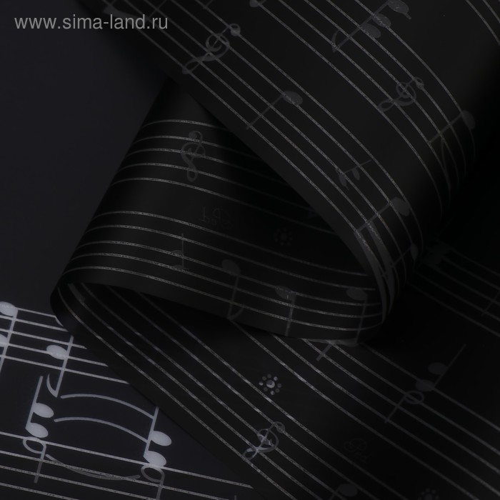 Пленка для цветов "Ноты", черный, 58 см х 5 м
Пленка для цветов "Ноты", черный, 58 см х 5 м