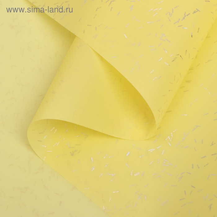 Пленка для цветов "Звездная ночь", 58 х 5 см
Пленка для цветов "Звездная ночь", 58 х 5 см