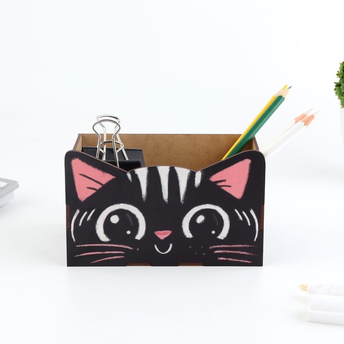 фото Органайзер для канцтоваров "чёрный котик"