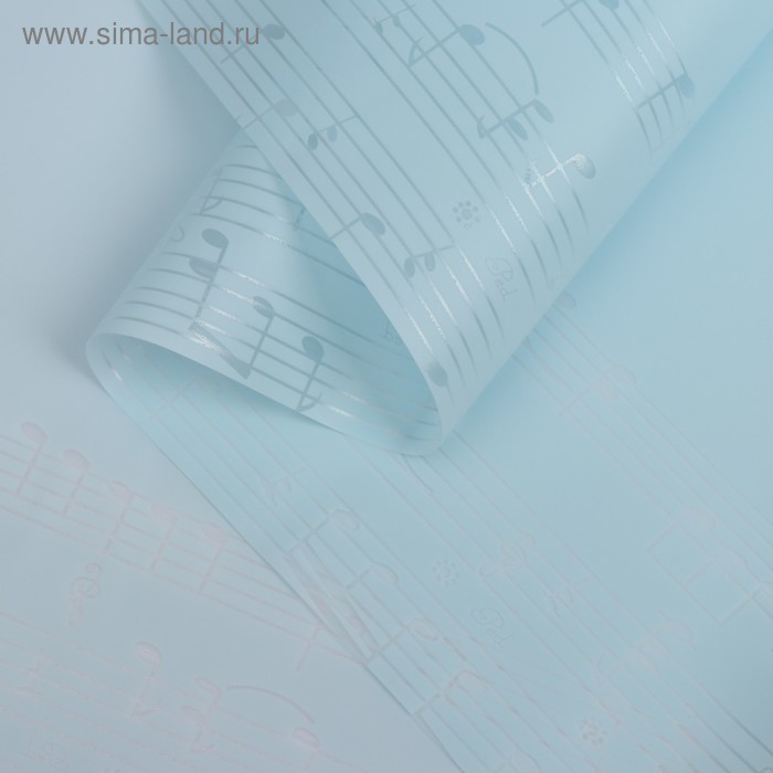 Пленка для цветов "Ноты", голубой, 58 см х 5 м
Пленка для цветов "Ноты", голубой, 58 см х 5 м