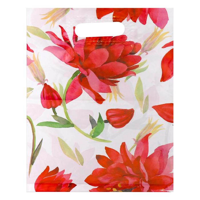 Пакет полиэтиленовый с вырубной, усиленной ручкой, 31 х 40 см, 60 мкм
Пакет полиэтиленовый с вырубной, усиленной ручкой, 31 х 40 см, 60 мкм