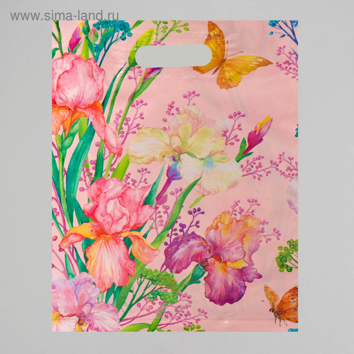 Пакет полиэтиленовый с вырубной, усиленной ручкой, 31 х 40 см, 60 мкм
Пакет полиэтиленовый с вырубной, усиленной ручкой, 31 х 40 см, 60 мкм