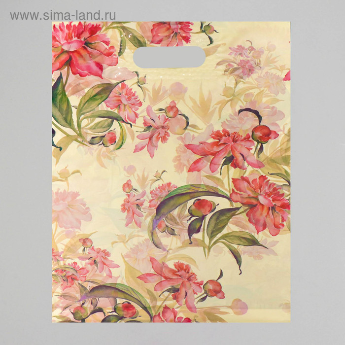 Пакет полиэтиленовый с вырубной, усиленной ручкой, 31 х 40 см, 60 мкм
Пакет полиэтиленовый с вырубной, усиленной ручкой, 31 х 40 см, 60 мкм