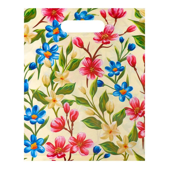 Пакет полиэтиленовый с вырубной, усиленной ручкой, 31 х 40 см, 60 мкм
Пакет полиэтиленовый с вырубной, усиленной ручкой, 31 х 40 см, 60 мкм