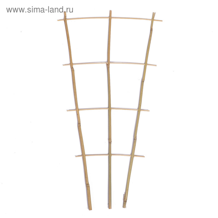 Шпалера, 60 × 32 × 1 см, бамбук, «Двойная», Greengo
Шпалера, 60 × 32 × 1 см, бамбук, «Двойная», Greengo
