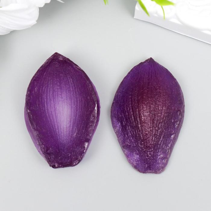 Молд пластик "Лепесток двухсторонний" (набор 2 детали) 5х3 см
Молд пластик "Лепесток двухсторонний" (набор 2 детали) 5х3 см