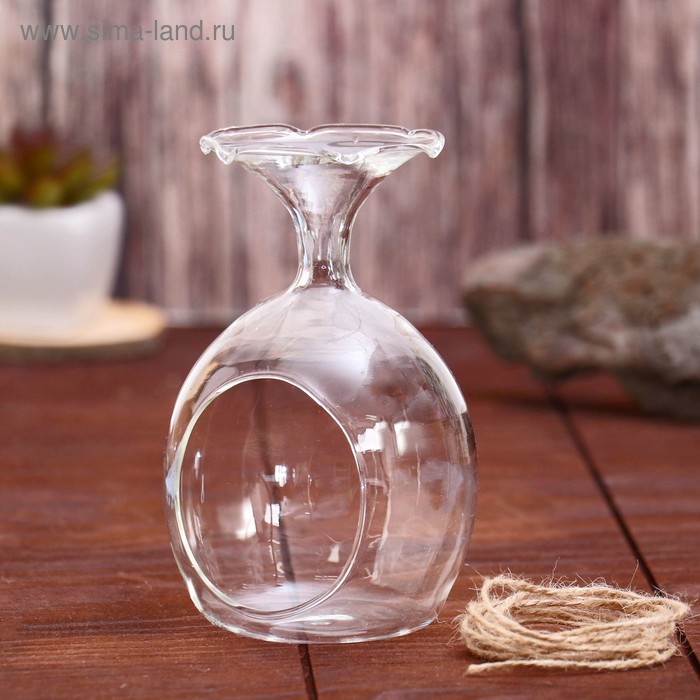 Флорариум "Горлышко волной" 8,5*8,5*13 см
Флорариум "Горлышко волной" 8,5*8,5*13 см