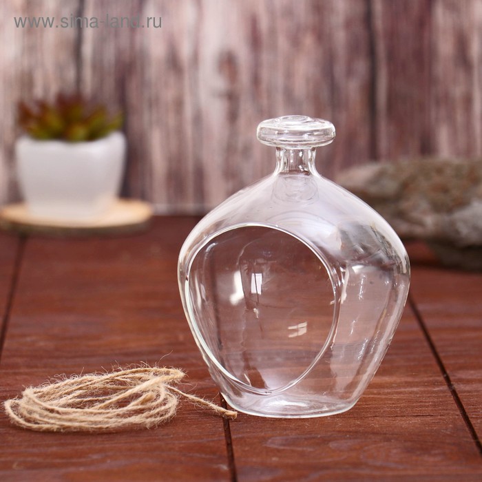 Флорариум "Баночка пузатая" диаметр отверстия 5,7х5,9см 10*10*13 см
Флорариум "Баночка пузатая" диаметр отверстия 5,7х5,9см 10*10*13 см